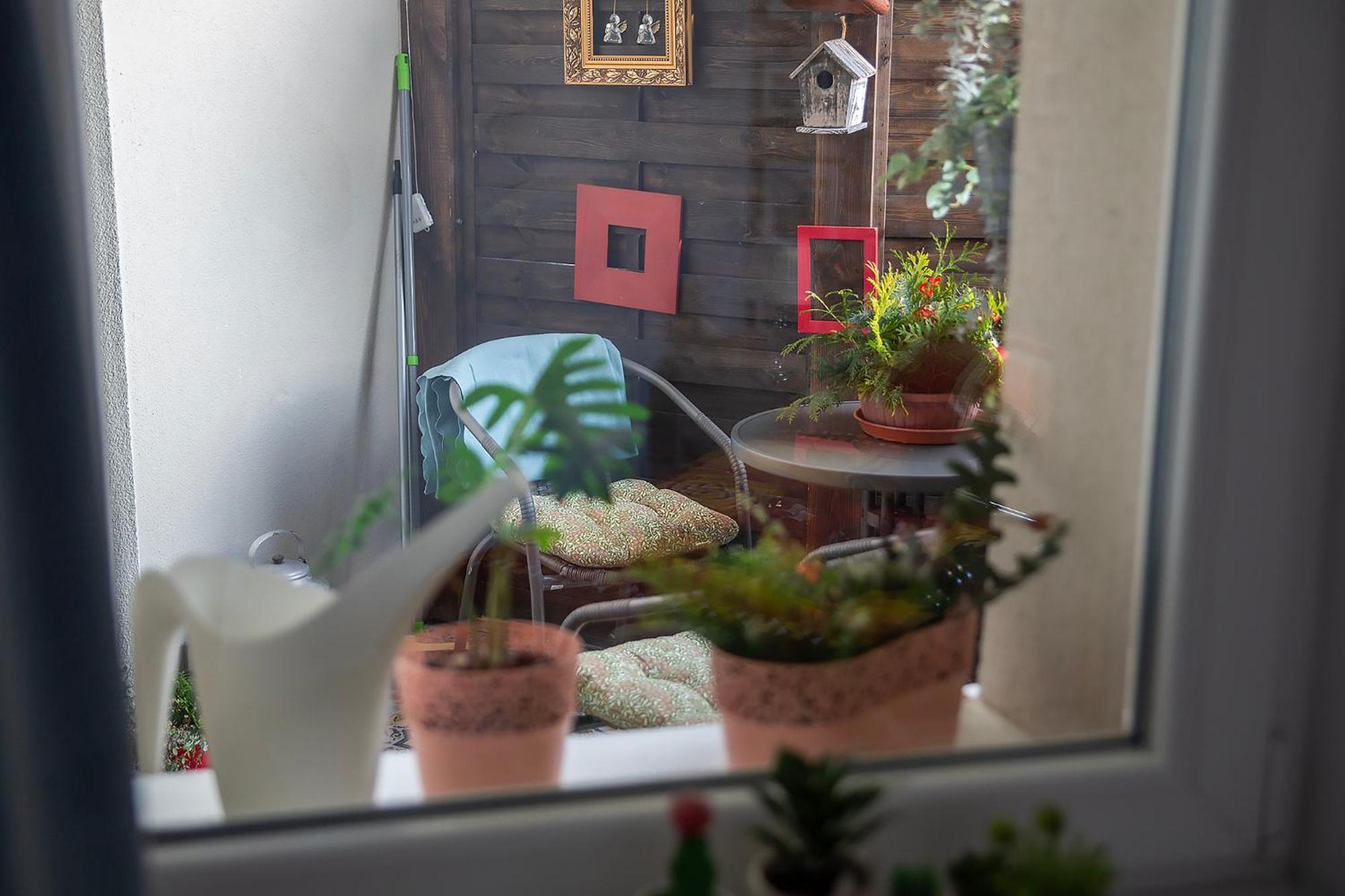 Apartament U Olechny 4 Bydgoszcz Exterior foto